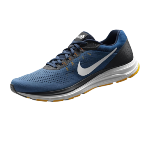 An image of a running shoe